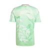 Maillot de Supporter Italie Extérieur 2025 Pour Homme
